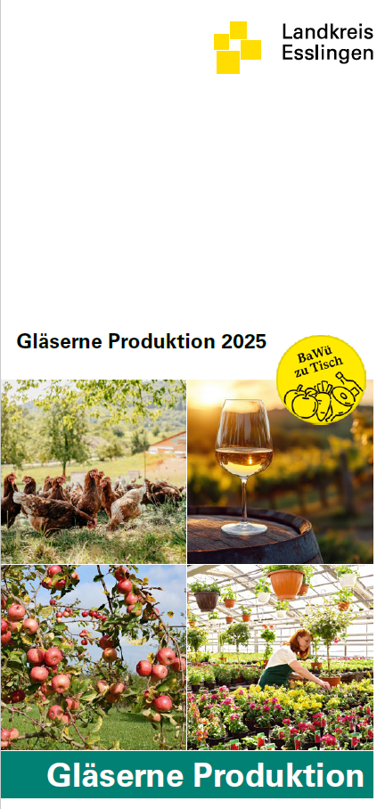 Klicken Sie auf das Bild um den Flyer zu öffnen