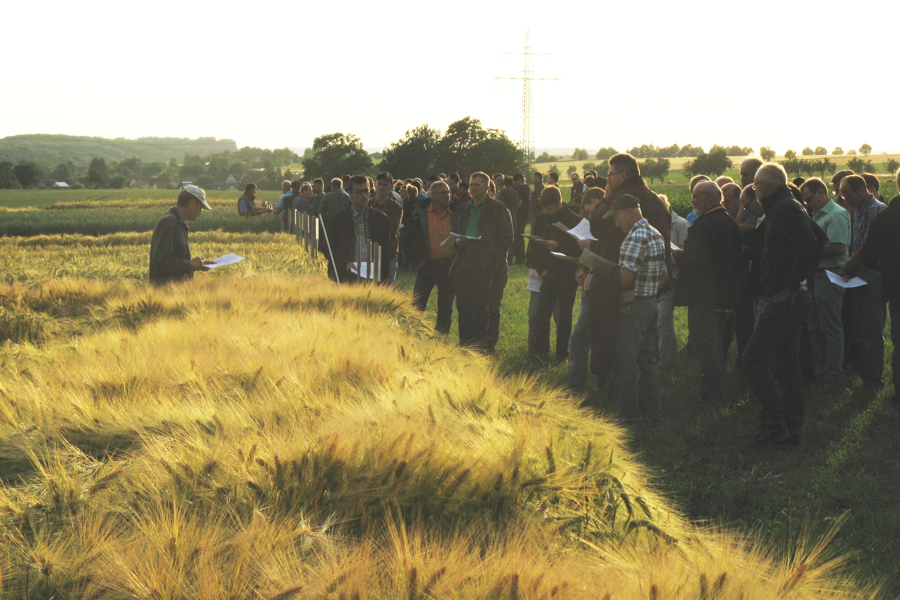 Landwirte besichtigen Gerstenfeld 