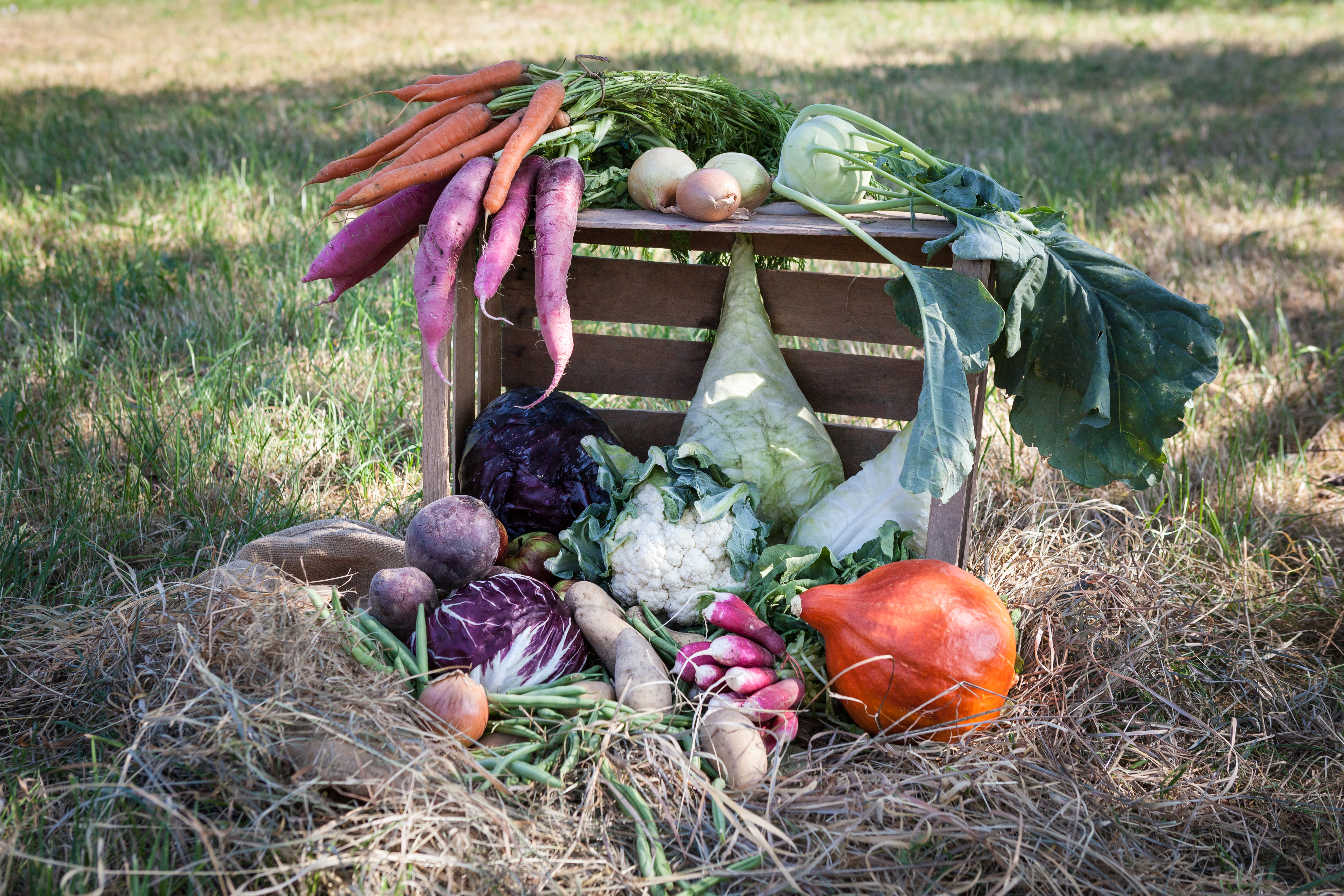 Ernährungsnotfallvorsorge